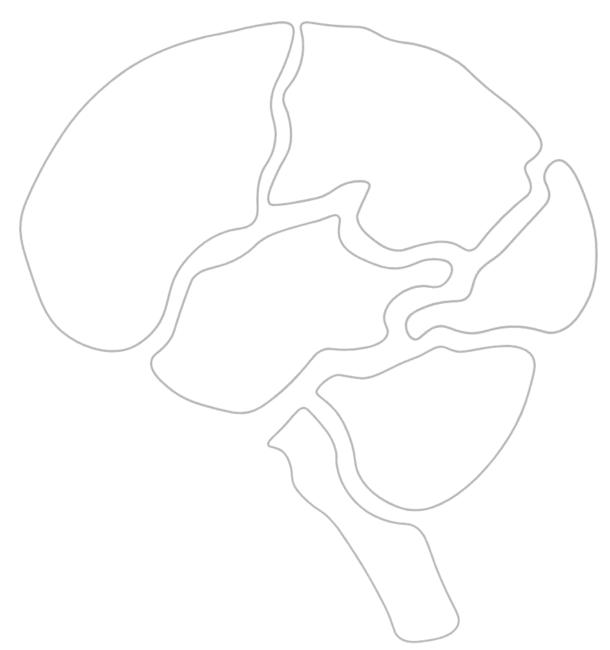 Brain